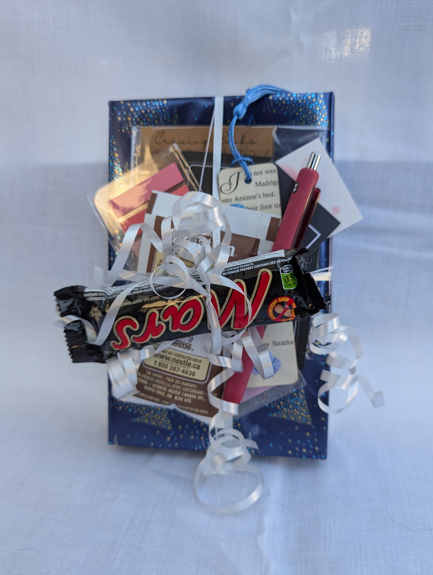 Christmas Themed Blind Date With a Book